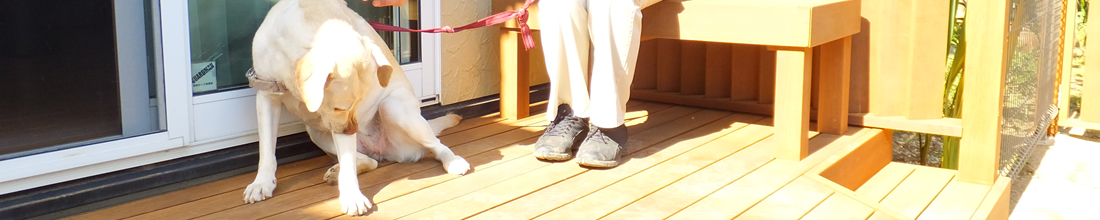 人工デッキとの違い