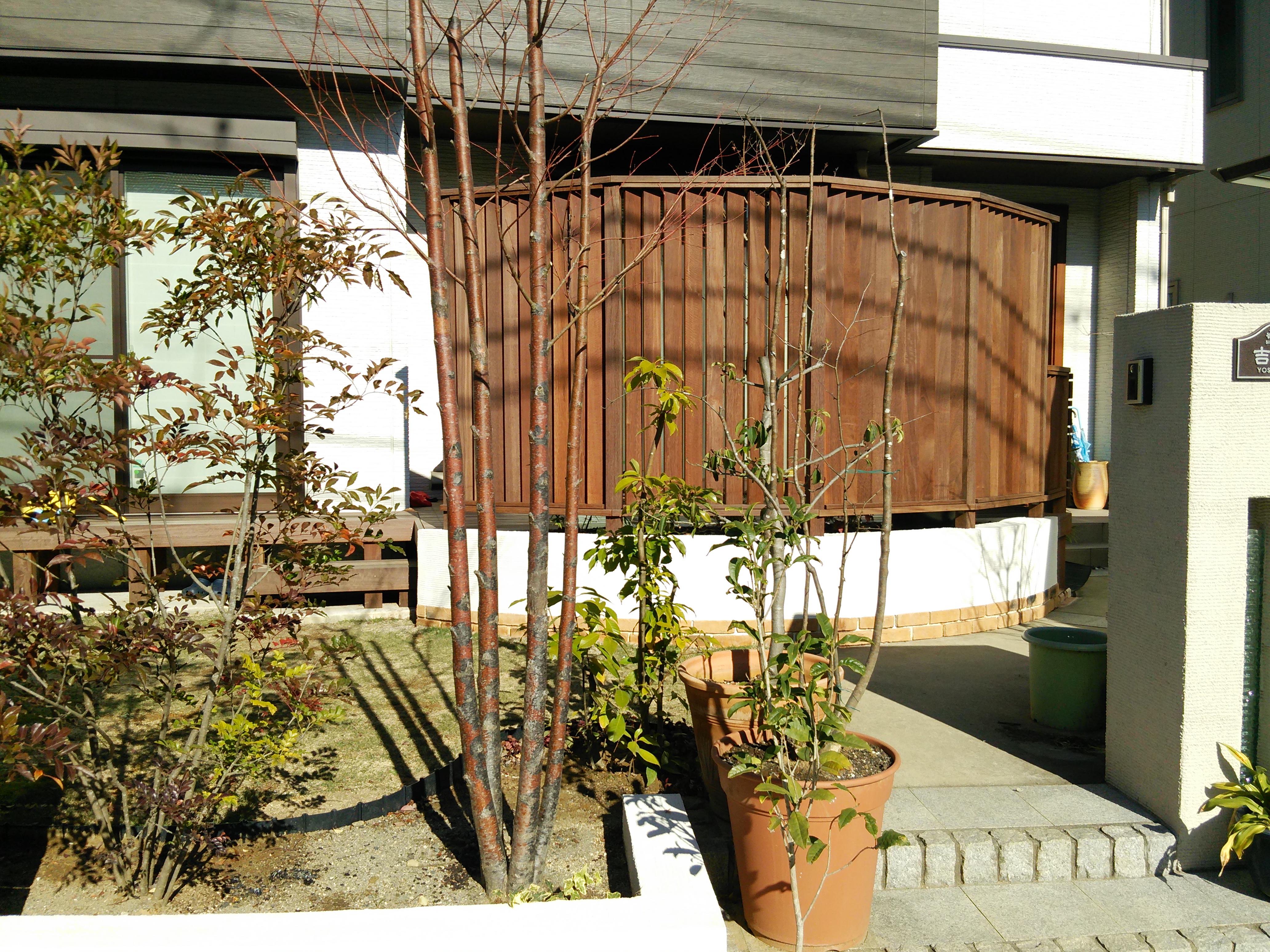 2015-12-18 11.29.10.jpg