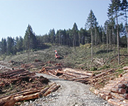 世界各地から厳選した最高級の素材。